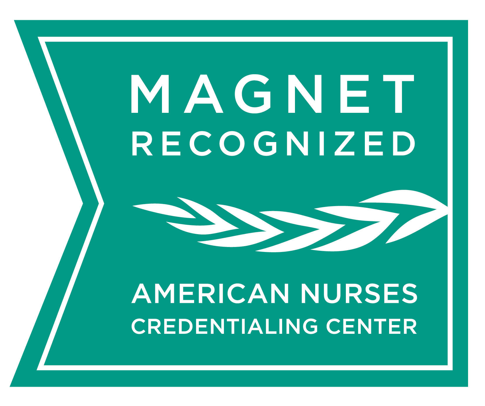 Magnet Recognition Logo CMYK.png